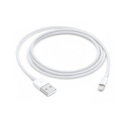iPhone 5 USB to Lightning Data Cable in White