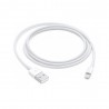iPhone 5 USB to Lightning Data Cable in White