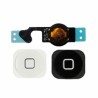 iPhone 5 Home Button Flex with Button